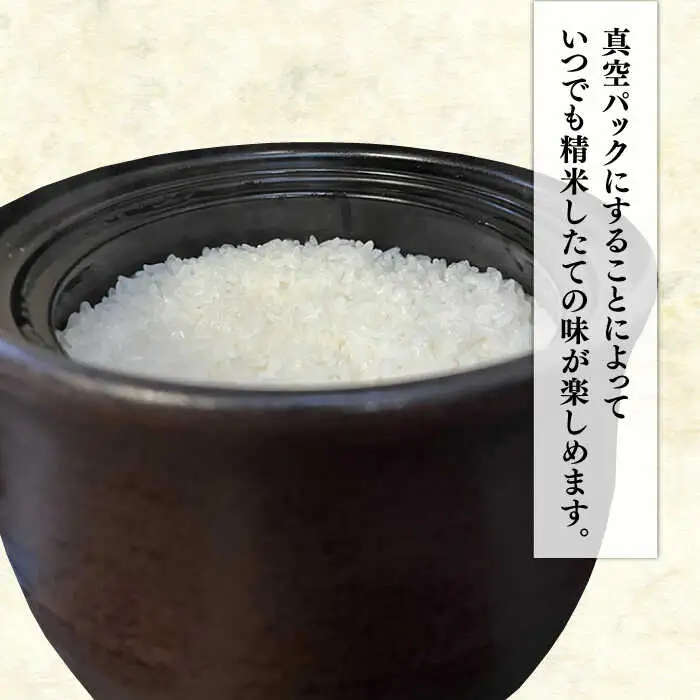 【長期保存可能】 五ツ星お米マイスターが厳選 品種おまかせ 白米 5kg 糸島市 / 米屋納富 [ARL005]