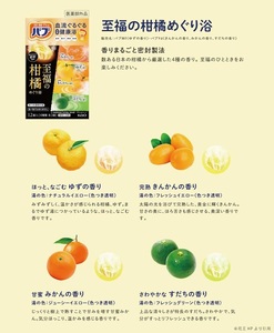 SA3042　花王バブ 至福のめぐり浴　計6箱(3種×各2箱)