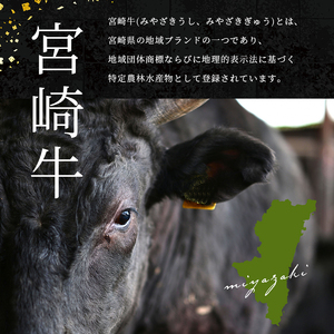 訳あり 宮崎牛 モモステーキ 約 400g A4 ~ A5 ランク