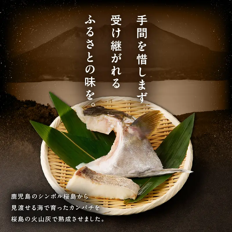 桜島灰干し かんぱち お試し セット K255-001_01 魚 冷凍