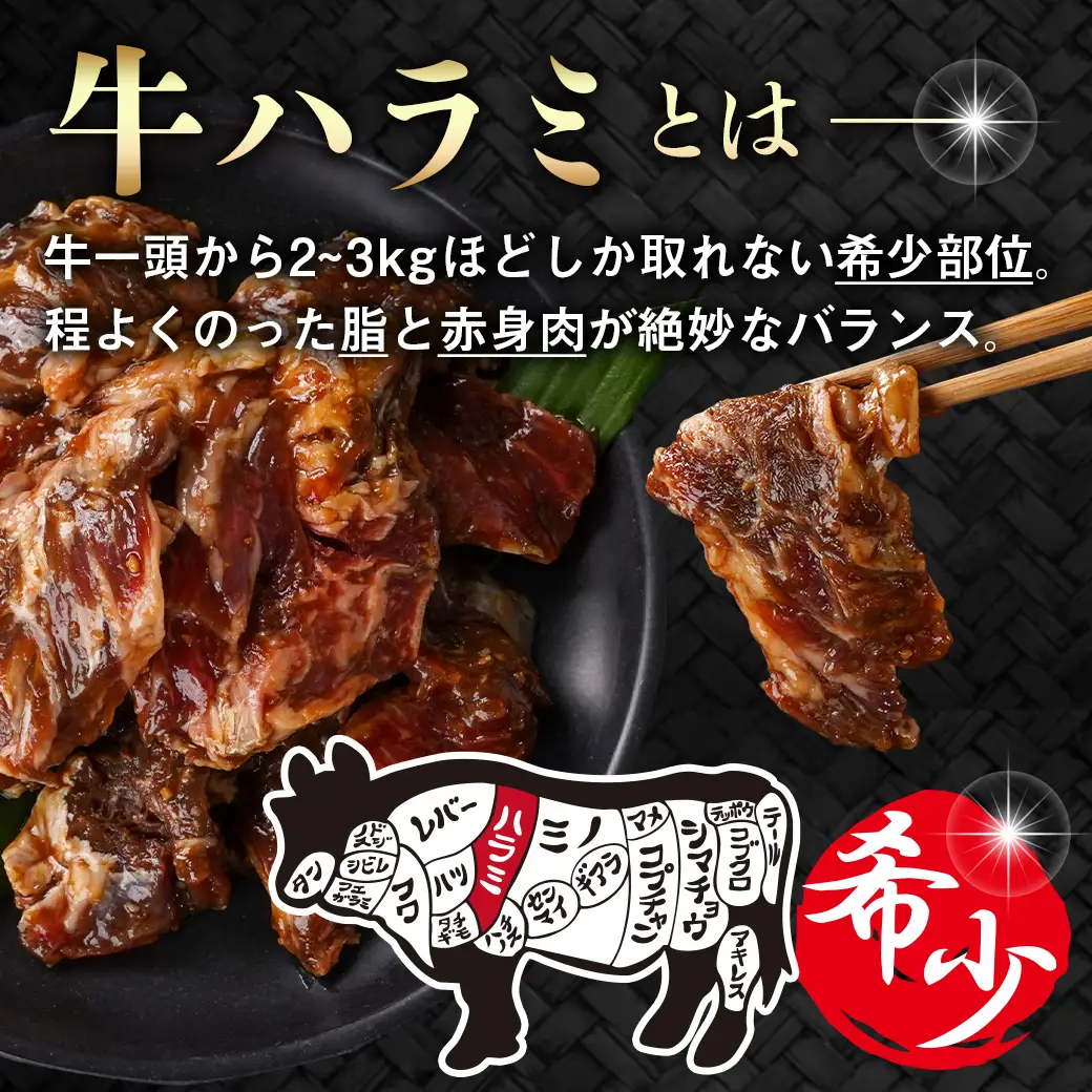 牛ハラミ タレ漬け900g〔LG8J-33-024-900g〕_(都城市)  味付き 牛肉 真空 小分け
