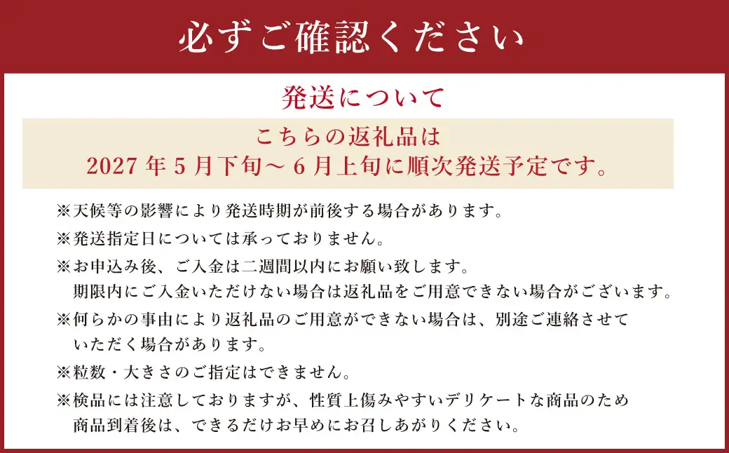 ＜ R8年熊本地震復興支援 ＞黒小玉 BonBonリッチ 2玉 【2027年5月下旬から6月上旬発送予定】 すいか 西瓜 果物 くだもの フルーツ