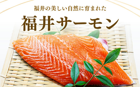 極旨！福井サーモン 計400g（200g × 2パック）【サーモン 鮭 刺身 さけ サケ さかな 魚 人気 海鮮 海鮮食品 小分け お刺身用 生食用 生食可 低脂肪 低カロリー ヘルシー 冷凍 国産】 [A-5830]