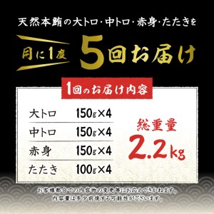 【定期便5回】天然本鮪 一本分を加工してお届け (b500-011)