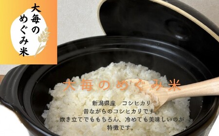 【新米受付・令和8年産米】新潟県村上市産　コシヒカリ「大毎のめぐみ米」5kg　1093003N