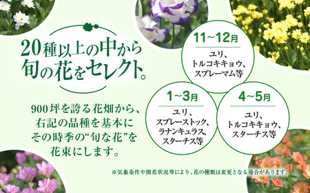 【先行予約】【2026年11月より順次発送】6代続く花農家より直送! 石井農園の「季節の花束」 SMCM001 / ふるさと納税 花 花束 季節 旬 お祝い フラワー ギフト 母の日 誕生日 記念日 千葉県 山武市