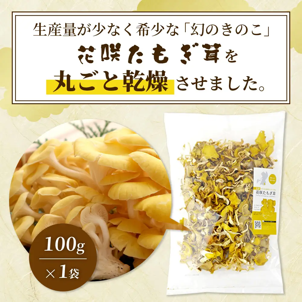 無農薬栽培【花咲 たもぎ茸 (乾燥) 100g 】幻 キノコ タモギダケ ヒラタケ 健康 栄養豊富 出汁 だし エルゴチオネイン タモギ茸 たもぎだけ  115-0606