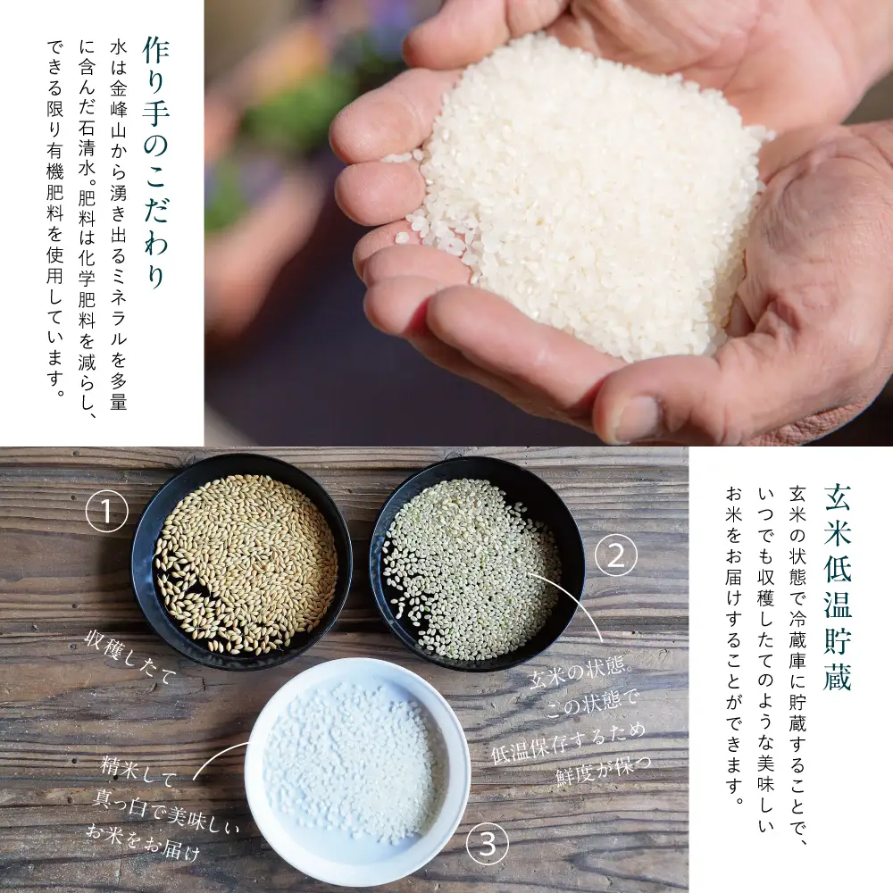 ★令和8年産・新米★ 金峰コシヒカリ 5kg ＜玄米低温貯蔵・白米でお届け＞ 超早場米 早期米 こしひかり 鹿児島県南さつま市産 白米 九州産 お米 コメ おこめ 5キロ 松木のお米直販 南さつま市