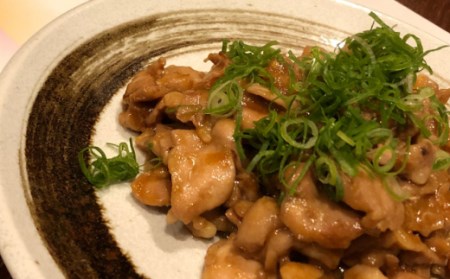 土佐肉の定期便２回連続お届け 頒布会