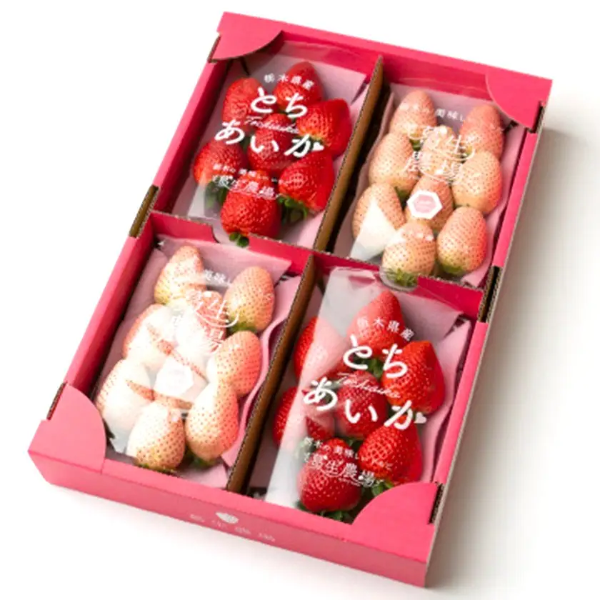 【春いちご】紅白いちご(とちあいか、ミルキーベリー)詰め合わせ(300g×2パックずつ)_果物・フルーツ いちご  イチゴ 苺_【配送不可地域：離島】【1589317】