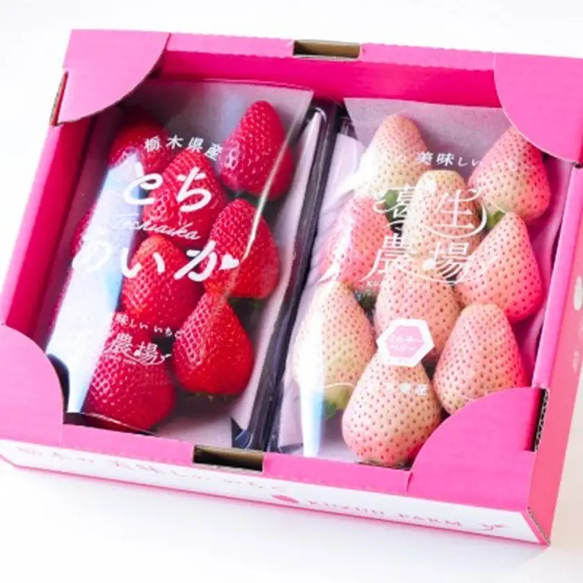 【春いちご】紅白いちご(とちあいか、ミルキーベリー)詰め合わせ(300g×1パックずつ)_果物・フルーツ いちご  イチゴ 苺_【配送不可地域：離島】【1589318】