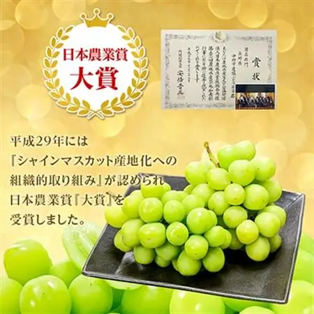【2026年発送】旬のシャインマスカット4房セット(2kg以上)JA中野市からの産直品【配送不可地域：離島】【1594567】