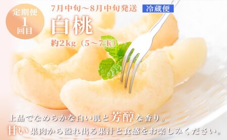 フルーツ 定期便 【2027年 先行予約】 晴れの国 おかやま の 白桃 2kg(5玉～7玉) シャインマスカット 2房 合計1.4kg以上 岡山県産 国産 セット ギフト