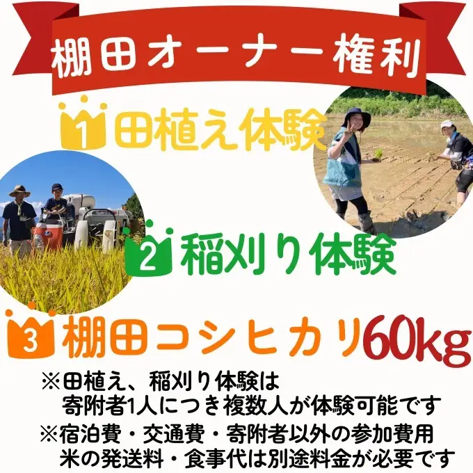 大島区 棚田オーナー権 コシヒカリ60kg付き 棚田オーナー権