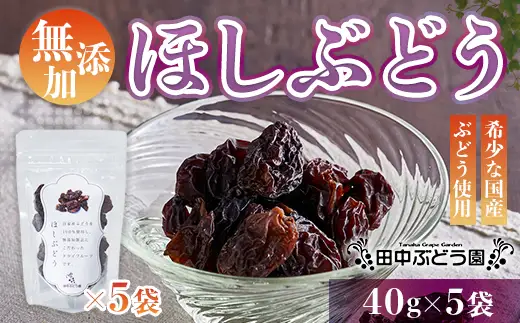 ほしぶどう(40g×5袋)としっとり柿チップス(60g×5袋)セット 国産 ドライフルーツ レーズン 無添加  人気 おすすめ
