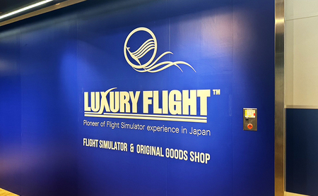 体験 FLIGHT 旅客機シミュレーター 45分 体験