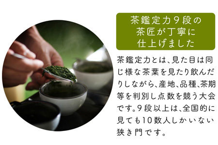 宮崎日本茶専門店 極上煎茶100g 10本セット お茶 緑茶 ギフト お取り寄せ【E232】