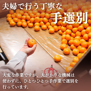 有田 みかん 小玉 1.8kg / 温州みかん 有田みかん 甘い 小粒 和歌山 柑橘 ※2026年12月上旬〜翌年1月上旬に順次発送 【ymk004-s-1d8A】