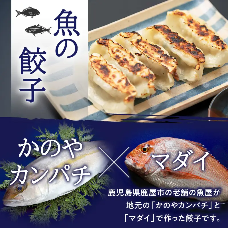 出水田鮮魚 の おさかな 餃子（8個×4パック） K294-002 魚 惣菜 総菜 冷凍