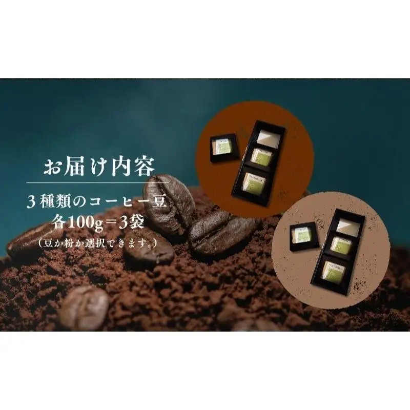 コーヒー 自家焙煎 3種セット 100g 3袋 珈琲豆 コーヒー 粉
