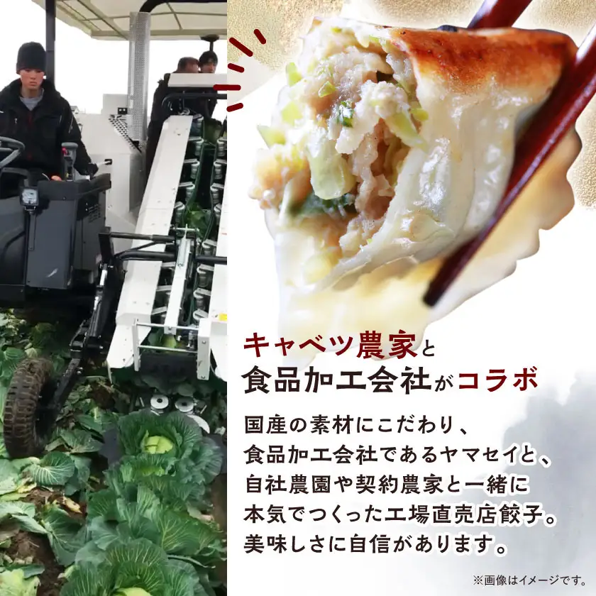 【発送月固定定期便】秀餃子80個(40個×2箱)×隔月発送6回 静岡県磐田市 全6回_餃子 冷凍 定期便_【配送不可地域：離島】【4006552】
