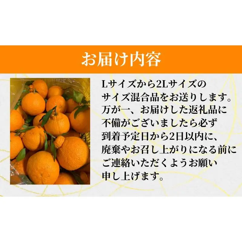 紀州田辺の 不知火 5kg（2027年3月頃から順次発送予定） / デコポン でこぽん 柑橘 和歌山 みかんランキング 果物 くだもの フルーツ 柑橘 産地直送 国産 和歌山 【tcs017-1】