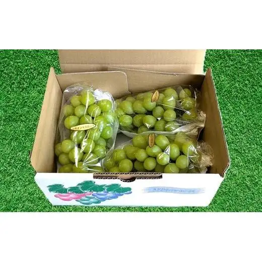 【2026年発送】 開田ぶどう園 シャインマスカット 2kg （茨城県共通返礼品・石岡市産） ／ シャインマスカット ぶどう 葡萄 ブドウ 果物 フルーツ