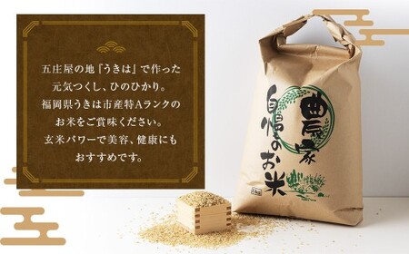 【特Aランク米】五庄屋の地で作ったお米 食べ比べセット 玄米 (元気つくし 5kg・ひのひかり 5kg) 計10kg 【2025年10月下旬より順次発送予定】 ヒノヒカリ こめ コメ ごはん ご飯 福岡県うきは市産 九州産