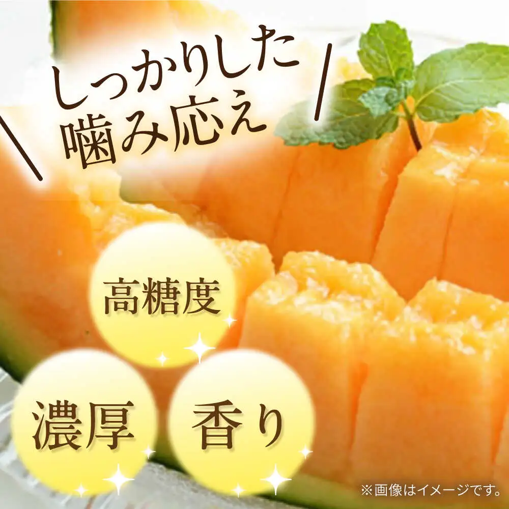 【2027年5月-発送】訳あり タカミメロン レッド 1玉 / メロン めろん フルーツ 果物 / 南島原市 / 南島原果物屋[SCV034]