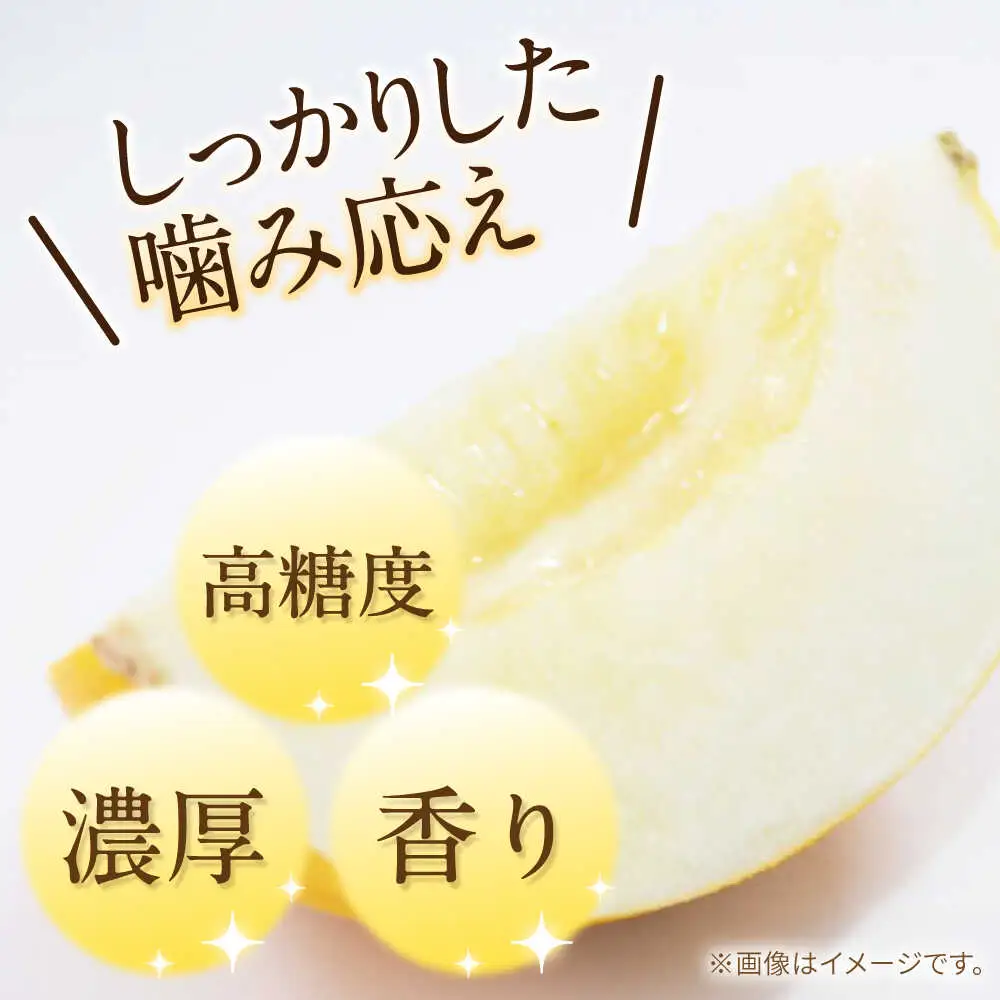 【2027年5月-発送】メロン イエローキング 2箱（1箱 3?6玉） / メロン めろん フルーツ 果物 / 南島原市 / 南島原果物屋[SCV040]