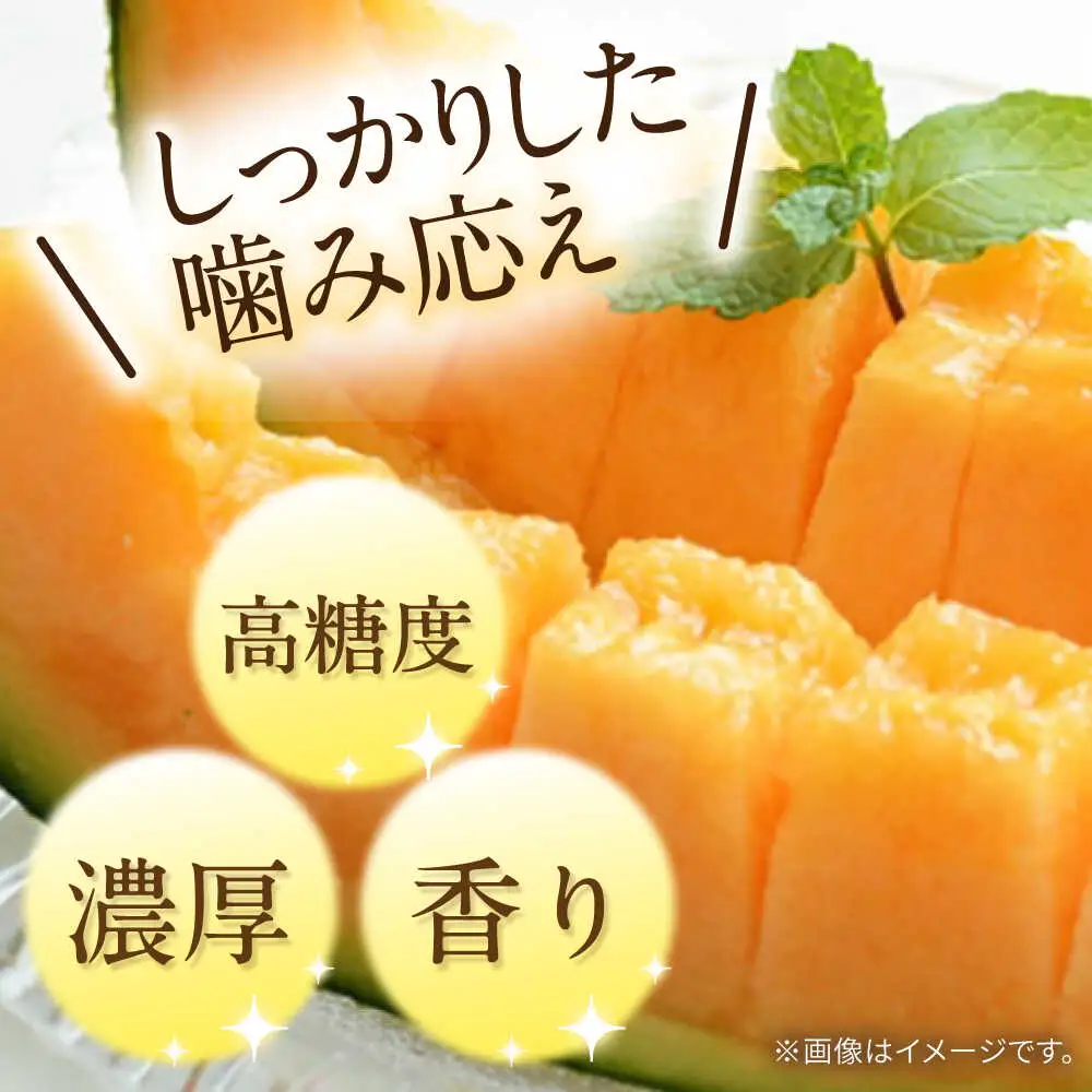 【2027年4月下旬-発送】【4回定期便】訳あり メロン 4種 食べ比べ / プリンスメロン イエローキング タカミレッド タカミメロン / メロン めろん フルーツ 果物 / 南島原市 / 南島原果物屋[SCV046]