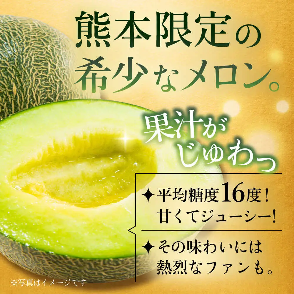 【先行予約】肥後グリーンメロン 約2kg(1玉入)  メロン グリーンメロン フルーツ 熊本県産 【日本フルーツ株式会社】 [ZFJ005]
