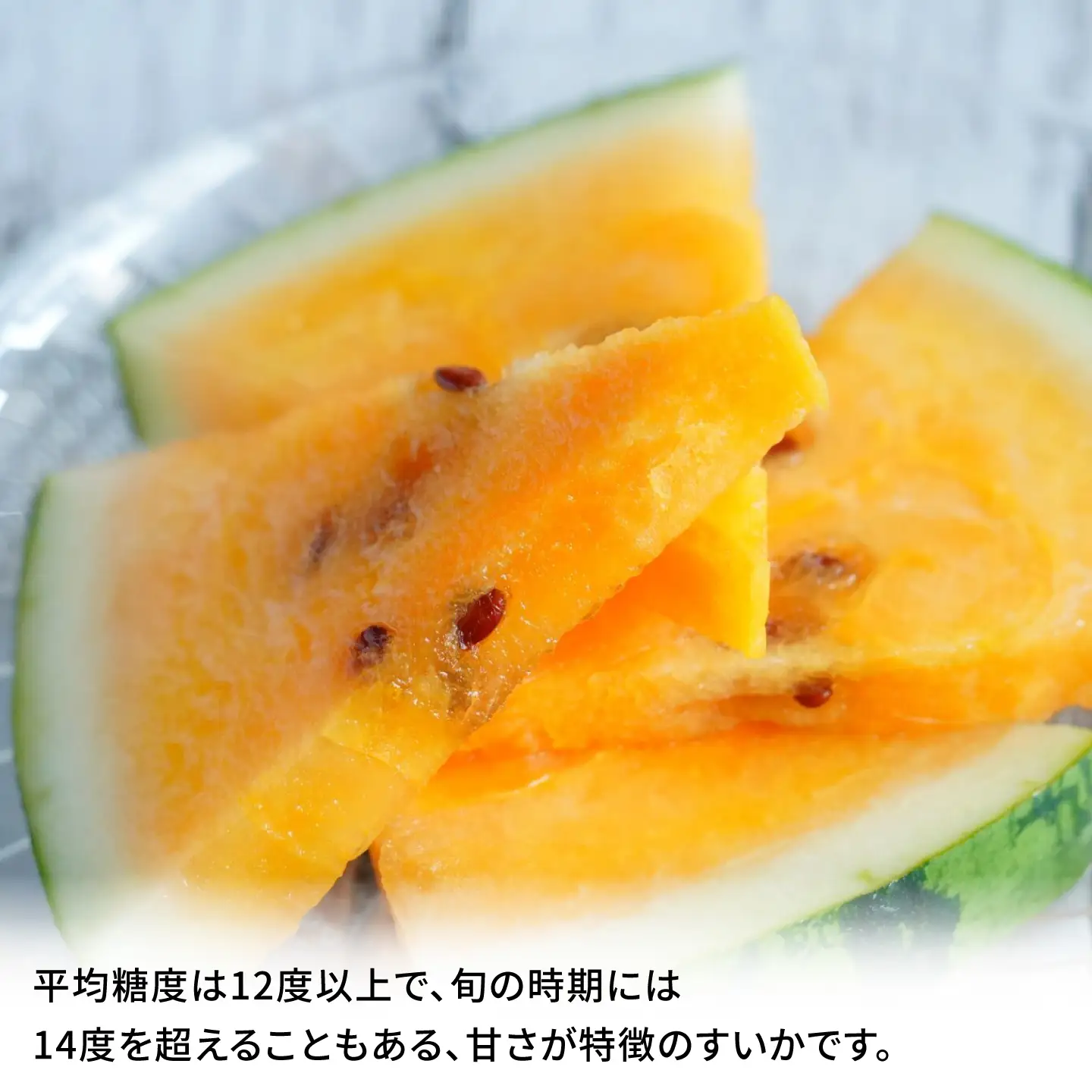 【先行予約】金色羅皇 スイカ 3L以上 1玉 約8kg すいか 野菜 フルーツ 果物 【日本フルーツ株式会社】 [ZFJ008]