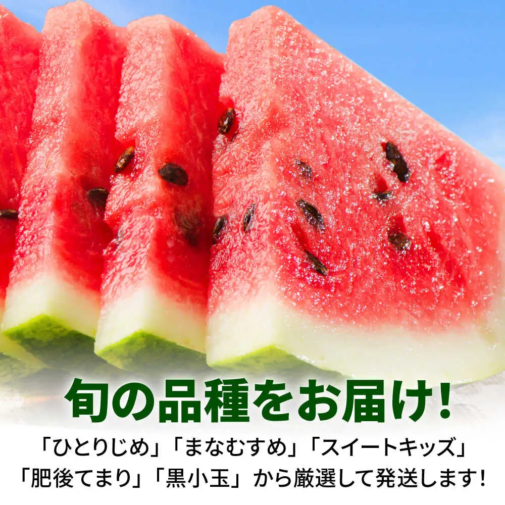 【先行予約】小玉スイカ 3L以上　1玉入り 約1.5kg 【日本フルーツ株式会社】[ZFJ011]