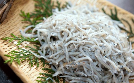 中野海産のちりめん 500g ちりめん