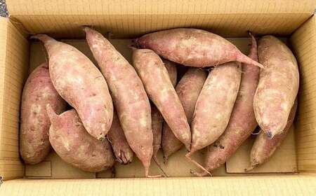 【Sサイズ】熊本県産 熟成高糖度 紅はるか 熟成生芋10kg さつま芋 さつまいも 芋 野菜 焼芋 特産品 国産 熊本県 人吉市 九州 常温 ふるさと納税