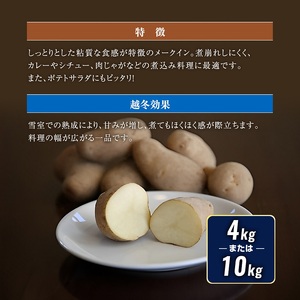 北海道産 熟成じゃがいも メークイン 4kg  期間限定 雪室貯蔵 十勝産 ジャガイモ じゃが芋