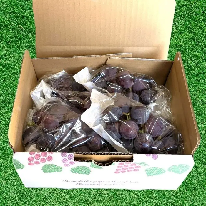 開田ぶどう園 巨峰 2kg （茨城県共通返礼品・石岡市産） ／ 巨峰 ぶどう 葡萄 ブドウ 果物 フルーツ 2kg