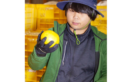 【先行予約】三宮果樹園の土佐文旦 訳あり 3kg〈2027年2月14日から2027年3月15日発送〉高知県 土佐市【三宮果樹園】[BQAP006]