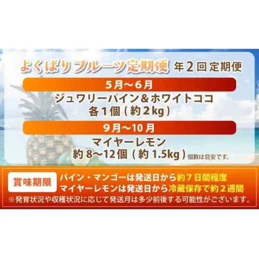 《年2回発送》島のおいしいを贅沢に！パイナップル2種食べ比べと青切りマイヤーレモンのよくばり定期便！