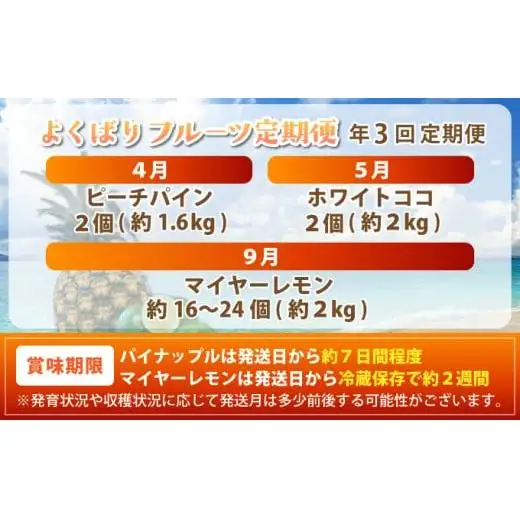 《年3回発送》パイナップル好きにおすすめ！某TV番組で紹介された希少なホワイトココとピーチパイン、マイヤーレモンの定期便