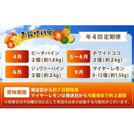 《年4回発送》パイナップル好きにおすすめ！大満足のパイナップル３品種＆マイヤーレモン定期便 《2027年4月以降発送》TF-067-t04