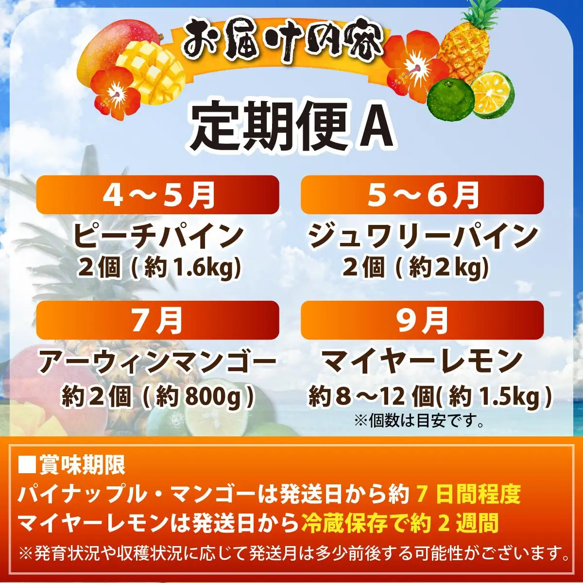 《年4回発送》島のおいしいを贅沢に！パイナップル2種とマンゴー、青切りマイヤーレモンのよくばり定期便