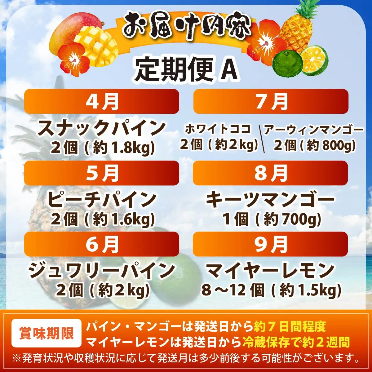 《年7回発送》島のおいしいを贅沢に！大満足のパイナップル4種とマンゴー2種、マイヤーレモンの定期便 TF-071-t07