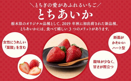 栃木おいしい会のいちご（とちあいか）260g×2パック（520g）｜栃木県共通返礼品 栃木県産 ※2027年1月～発送