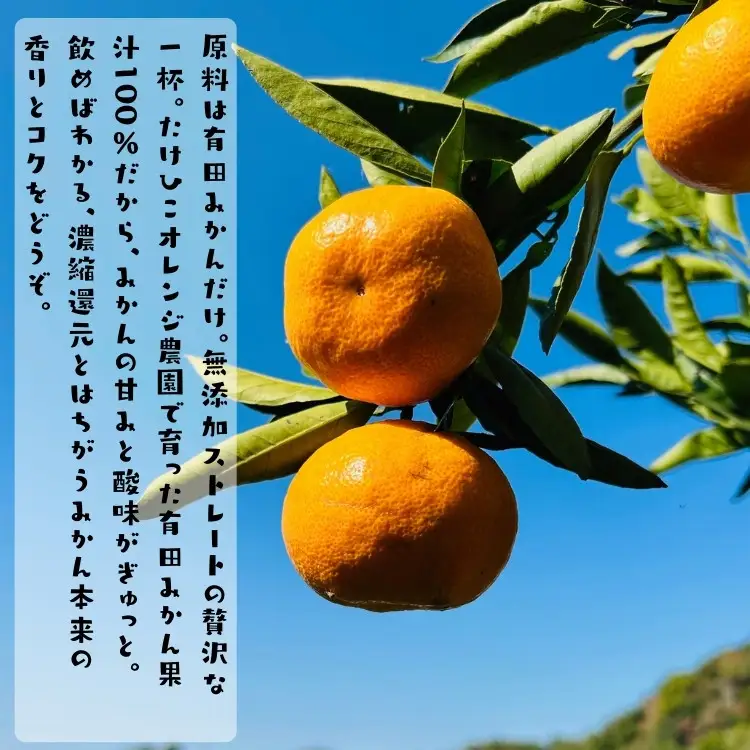 【無添加】有田みかん100%のジュース1,000ml×3本 みかんジュース 濃厚 柑橘 果物 フルーツ 甘い 100％ストレートジュース 【MS105】