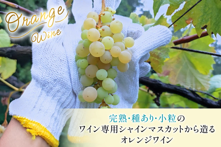 オレンジワイン Anti-nomie 2024 シャインマスカットワイン 750ml×1本 2024年 ふるさと起業チャレンンジ オーディエンス賞 受賞 お