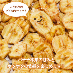 塩バナナチップス 約900g (82g×11袋) バナナ ばなな バナナチップス バナナ ばなな チップス チップ 果物 ドライフルーツ お菓子 スイーツ 塩 個包装 小分け 小袋 送料 石丸弥蔵商店 送料無料 愛媛県 松山市【IY021】