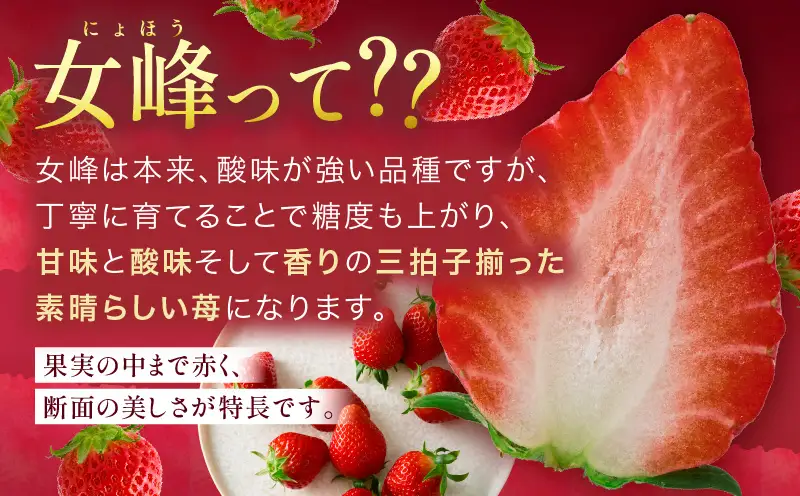 【先行予約】【ギフト仕様】【高級】女峰いちご　24又は30粒入(800g以上)　≪ IDOMALL セレクト≫|スイーツ いちご ストロベリー 女峰 苺 冷蔵 フルーツ 旬 果物 香川県 デザート 青果物 贈答 プレゼント 化粧箱 贈り物 おすすめ|_mk048-001