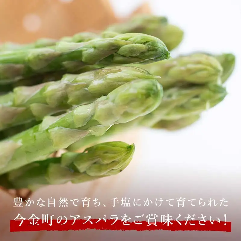 【先行予約】朝採れ新鮮アスパラ 750g （2Lサイズ） (2027年3月下旬~6月中旬または2027年7月上旬~9月上旬発送) 野菜 秀品 北海道産 バーベキュー BBQ キャンプ 旬野菜 アスパラガス 栄養満点 冷蔵発送 F21X-459